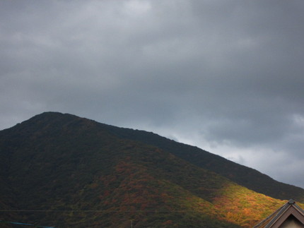 お山の陽だまり