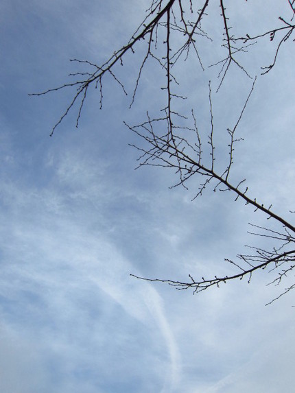 雪上りの空