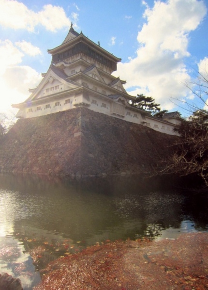 今日の小倉城～落ち葉がいっぱい