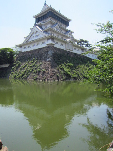 今日の小倉城～石垣の緑が青々と