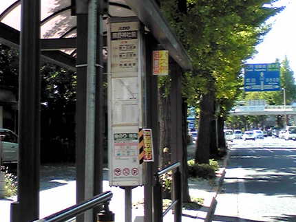 　＜いちょう並木と熊野神社バス...