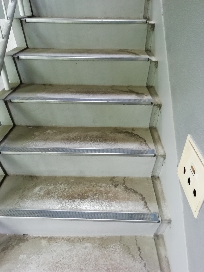 ＜階段の掃除＞